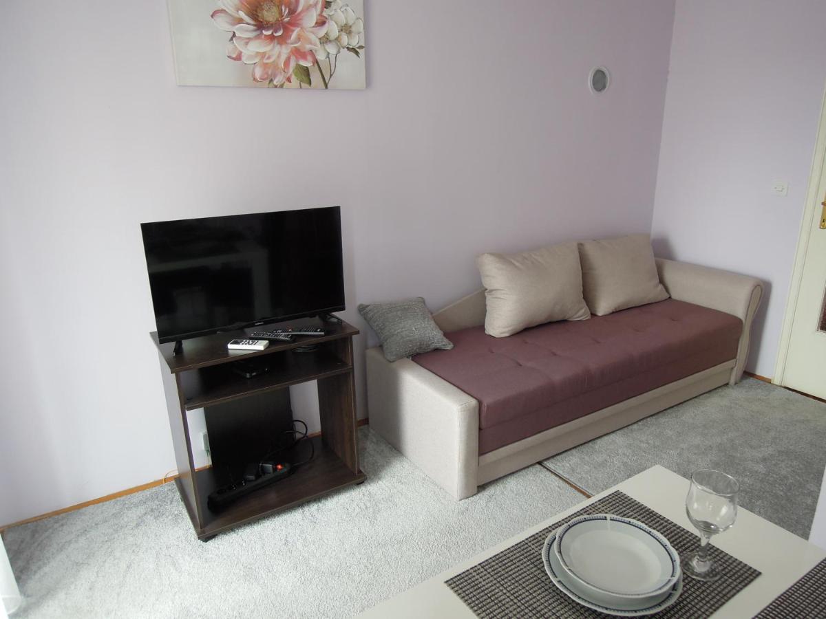 Classic Apartment Novi Sad Esterno foto