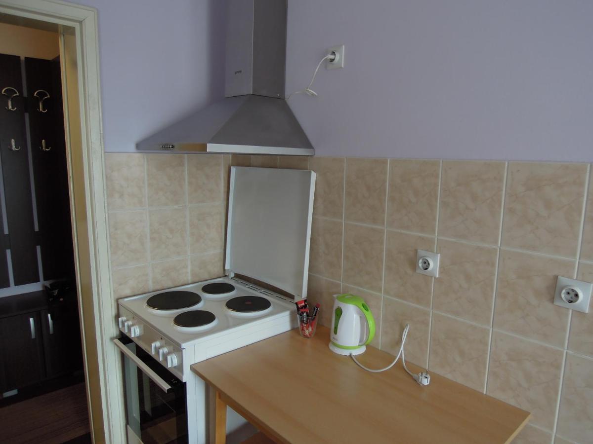 Classic Apartment Novi Sad Esterno foto